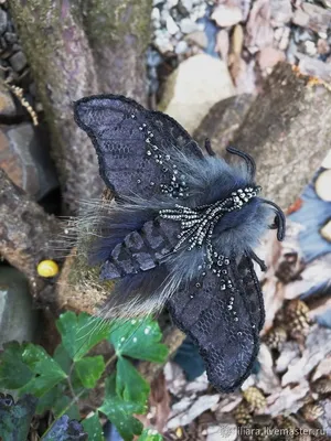 Чудовища природы: Бабочки ночные на вашем экране