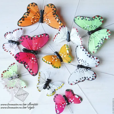Фото бабочек России – искусство природы
