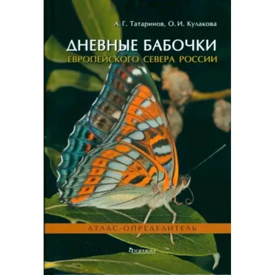 Интересные изображения российских бабочек в формате WebP