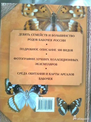 Загадочность бабочек России на картинках