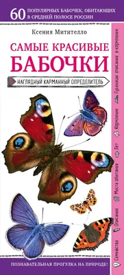 Прекрасные изображения бабочек России в формате JPG