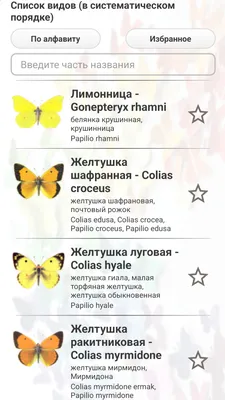 Фото бабочек средней полосы России в формате JPG с прозрачным фоном
