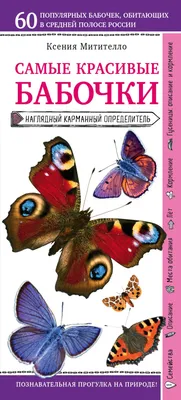 Фотографии бабочек средней полосы России - выбирайте какой вам нравится