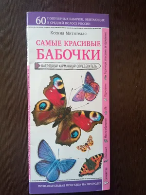 Изображения бабочек средней полосы России в формате PNG для использования в шаблонах