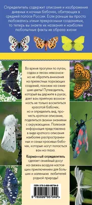 Фото бабочек средней полосы России в форматах JPG, PNG, WebP