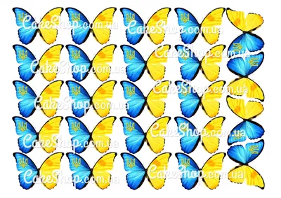 Бабочки Украины в разных форматах