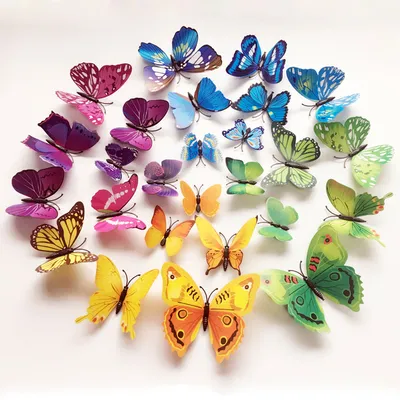 Украинские бабочки на фото: весенняя красота