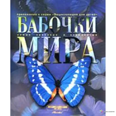 Бабочки Украины в разных размерах и форматах для скачивания