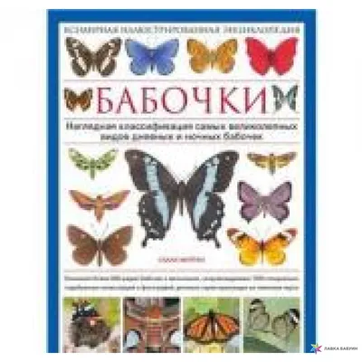 Фото великолепных бабочек Украины на разнообразных фоновых изображениях