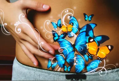 Исследуйте мир бабочек с помощью этих красивых картинок