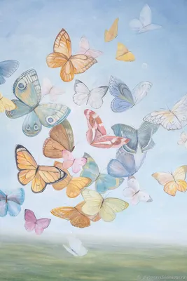 Красивейшие фотографии бабочек, чтобы придать вашим проектам стиль