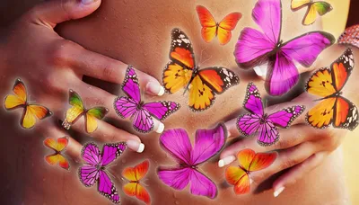 Впечатляющие изображения бабочек в формате PNG