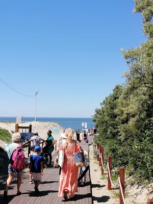 Балтийский пляж: фотографии природной красоты морского берега.