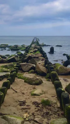 Прогулка по морскому воздуху: Калининград и Балтийское море