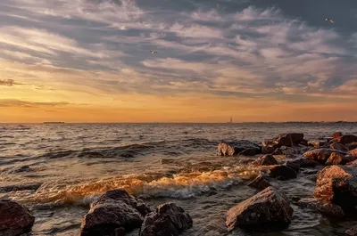 Фотографии Балтийского моря в Петербурге: бесплатно скачивайте в разных форматах (JPG, PNG, WebP)