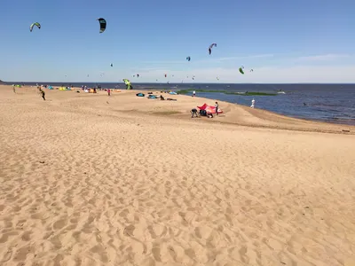 Погружение в мир Балтийского моря в Петербурге через камеру