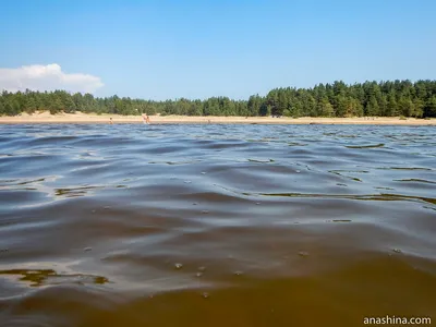 Знойный день у Балтийского моря в Петербурге: впечатляющие фотографии