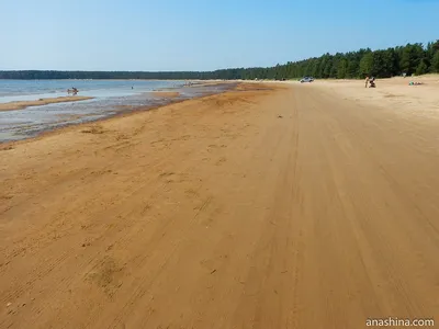 Фотоэкскурсия по Балтийскому морю в Петербурге: красоты, что зачаруют