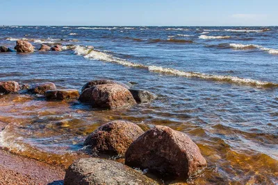 Фотоальбом Балтийского моря в Петербурге: путешествие по картинам