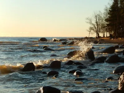 Картинка Балтийского моря в Питере