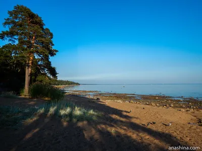 Фотка Балтийского моря в Питере