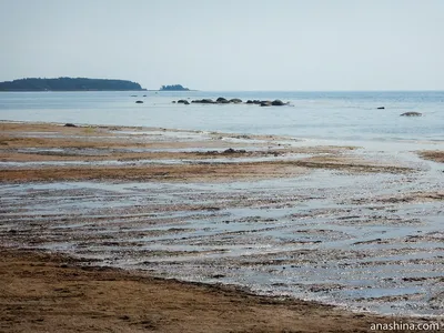 Арт-фото Балтийского моря в Петербурге: искусство воплотилось в природе