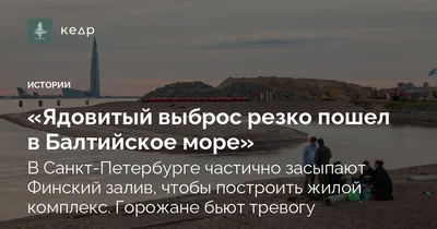 Капризы морского бриза на берегу Балтийского моря в Питере