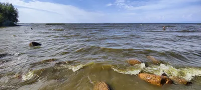 Разнообразие морских оттенков у побережья Балтийского моря в Санкт-Петербурге