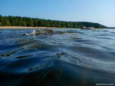 Отражения и рифмы Балтийского моря в окрестностях Санкт-Петербурга