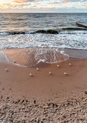 Фотографии волнующего Балтийского моря: величественные пейзажи