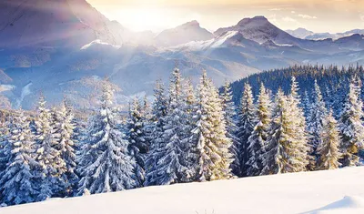 Фотогалерея Банско зимой: Подберите идеальный размер для скачивания