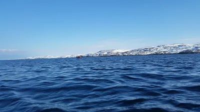 Баренцево море – место встречи огней северного сияния: фотография, незабываемая и волшебная.