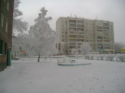 Зимние пейзажи Барнаула: Фотки в JPG