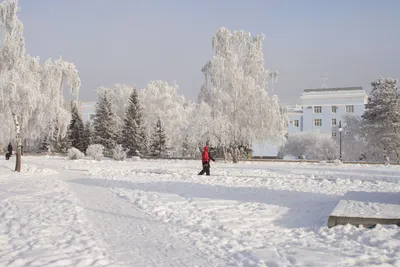 Зимний Барнаул: Фотографии в формате WebP