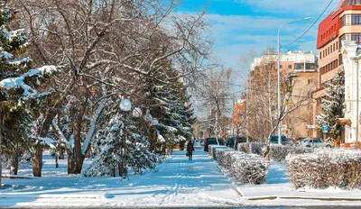 Зимний Барнаул: Зимние картины высокого качества в JPG