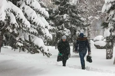 Зимний Барнаул: Фотографии зимнего города в JPG