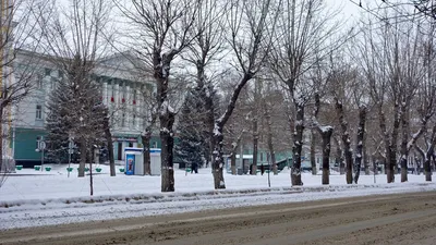 Барнаул зимой: Уникальные изображения в формате WebP