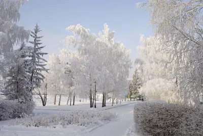 Фото Барнаула зимой: Снежные изображения в PNG