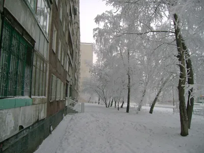 Барнаул зимой: Зимние пейзажи высокого разрешения в JPG