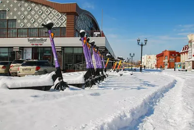 Зимние красоты Барнаула: Фотографии зимы в PNG