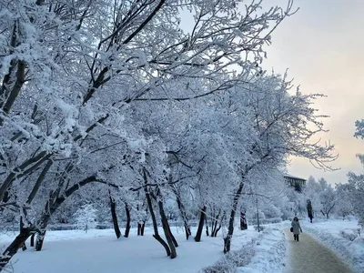 Зимний Барнаул: Зимние изображения в PNG