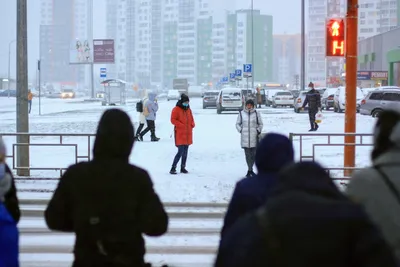 Зимние красоты Барнаула: Фотографии высокого разрешения