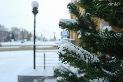 Зимний Барнаул: Фотографии зимы в высоком разрешении JPG