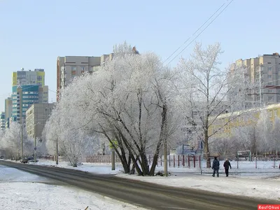 Зимний Барнаул: Фотографии для скачивания в PNG