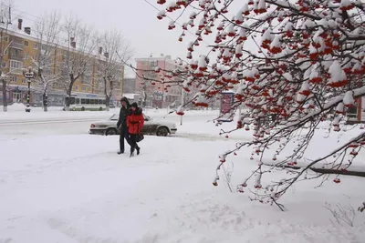 Фото Барнаула зимой: Уникальные изображения в WebP