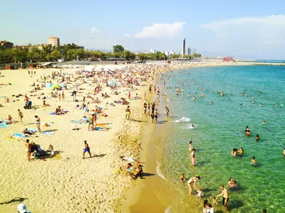 Фото Барселона пляж - скачать в JPG, PNG, WebP
