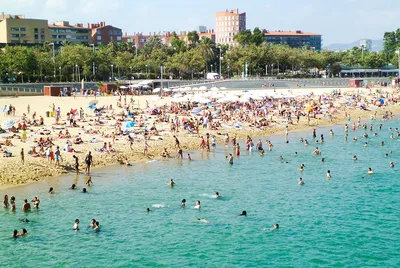 Барселона пляж: идеальное место для отдыха и фотосессий