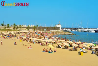 Фото Барселоны: пляжи и морской рай
