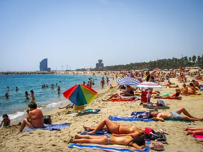 Барселона пляж: фотоальбом морского отдыха