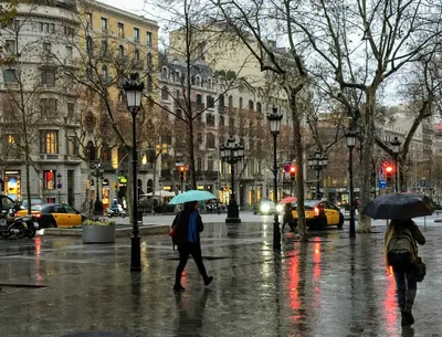 Зимние моменты красоты: Барселона в объективе